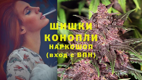 крисы Лабытнанги