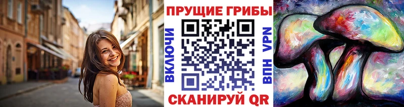 Псилоцибиновые грибы Cubensis  Канск 