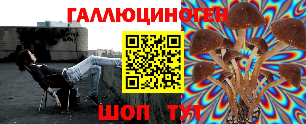 Канск  Псилоцибиновые грибы Cubensis  Вход с VPN  как найти наркотики  Галлюциногенные грибы Magic Shrooms 