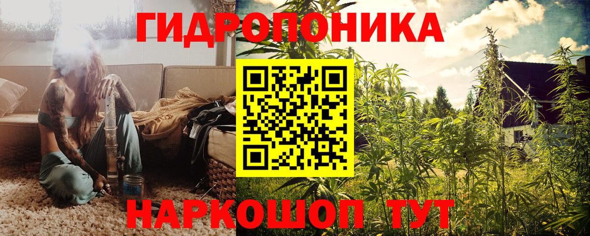 Марихуана индика Канск